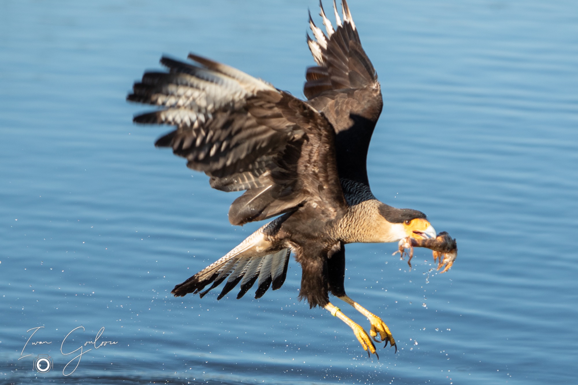 04 maart 2022 163721 1DX44507